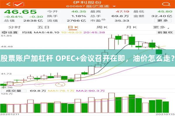 股票账户加杠杆 OPEC+会议召开在即，油价怎么走？