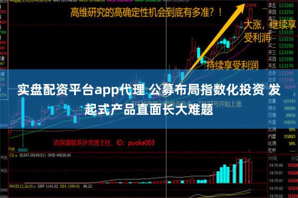 实盘配资平台app代理 公募布局指数化投资 发起式产品直面长大难题