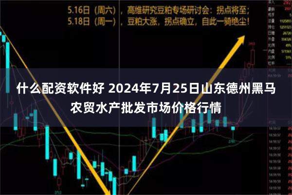 什么配资软件好 2024年7月25日山东德州黑马农贸水产批发市场价格行情