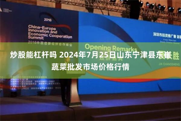 炒股能杠杆吗 2024年7月25日山东宁津县东崔蔬菜批发市场价格行情