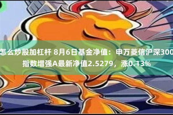 怎么炒股加杠杆 8月6日基金净值：申万菱信沪深300指数增强A最新净值2.5279，涨0.13%