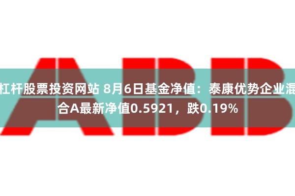 杠杆股票投资网站 8月6日基金净值：泰康优势企业混合A最新净值0.5921，跌0.19%