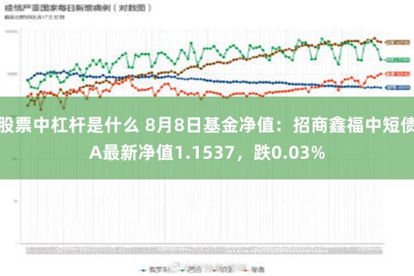 股票中杠杆是什么 8月8日基金净值：招商鑫福中短债A最新净值1.1537，跌0.03%