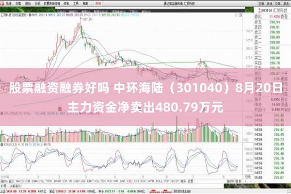 股票融资融券好吗 中环海陆（301040）8月20日主力资金净卖出480.79万元