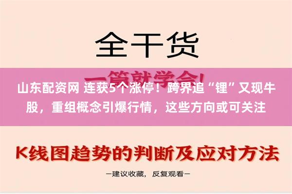 山东配资网 连获5个涨停！跨界追“锂”又现牛股，重组概念引爆行情，这些方向或可关注