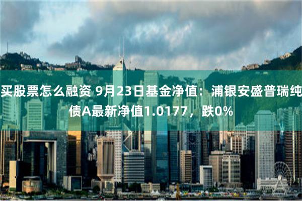 买股票怎么融资 9月23日基金净值：浦银安盛普瑞纯债A最新净值1.0177，跌0%