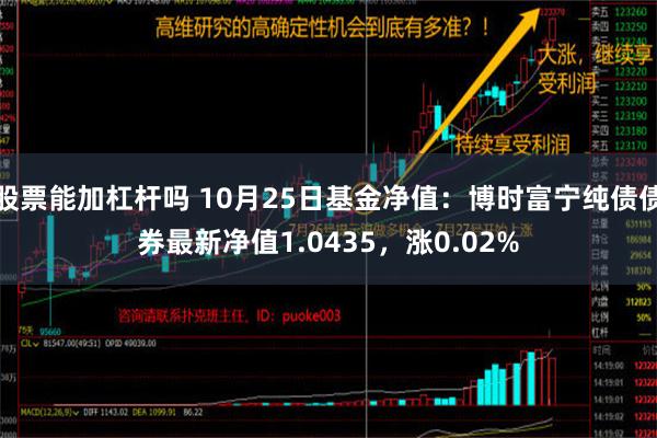 股票能加杠杆吗 10月25日基金净值：博时富宁纯债债券最新净值1.0435，涨0.02%