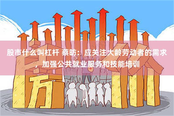 股市什么叫杠杆 蔡昉：应关注大龄劳动者的需求，加强公共就业服务和技能培训