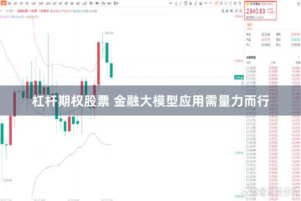 杠杆期权股票 金融大模型应用需量力而行