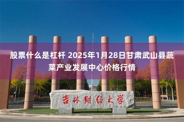 股票什么是杠杆 2025年1月28日甘肃武山县蔬菜产业发展中心价格行情