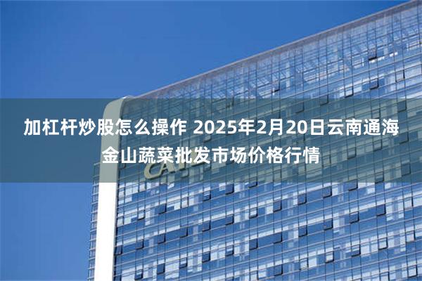 加杠杆炒股怎么操作 2025年2月20日云南通海金山蔬菜批发市场价格行情